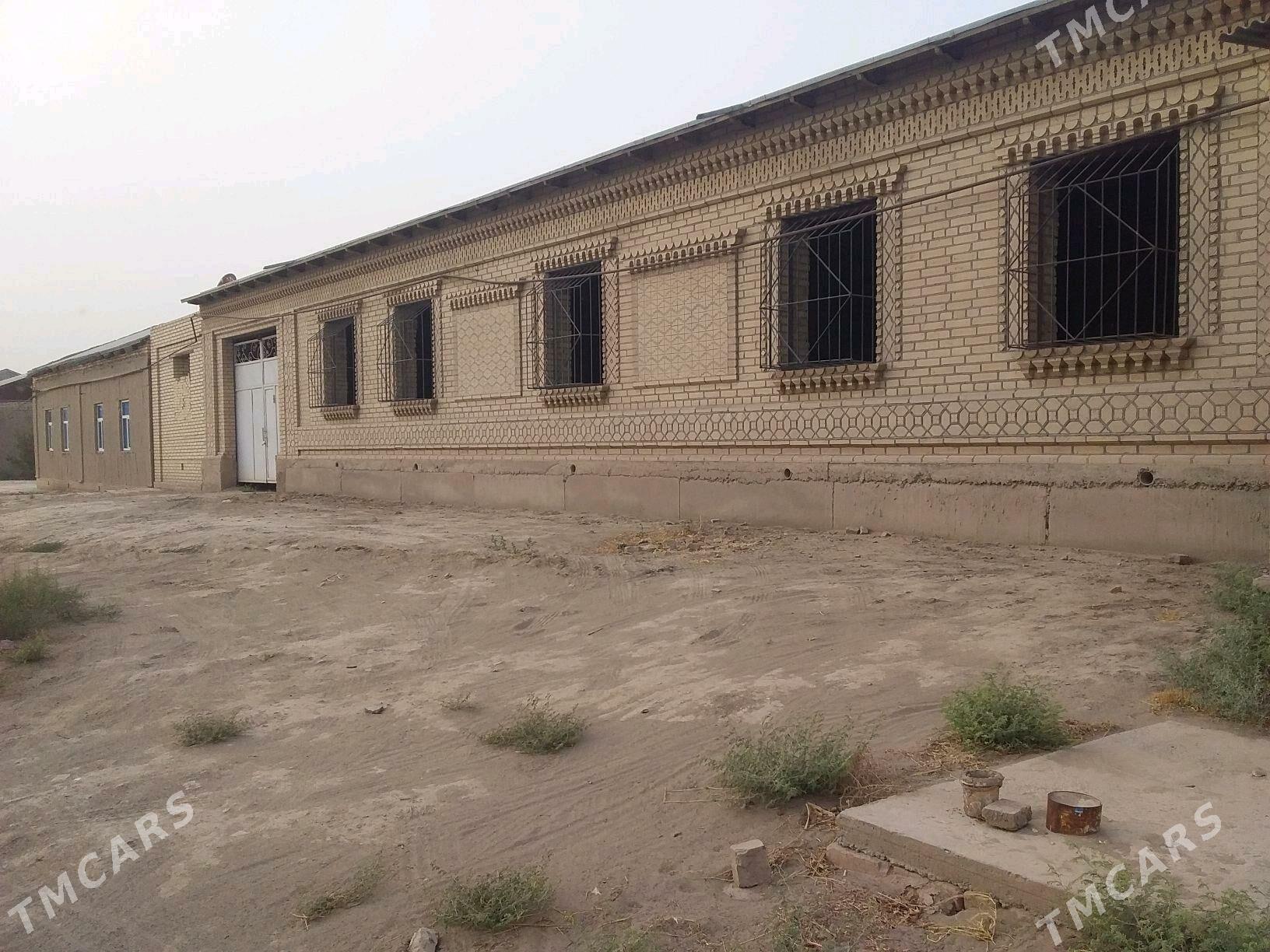 Planowoý jaý - Халач - img 2