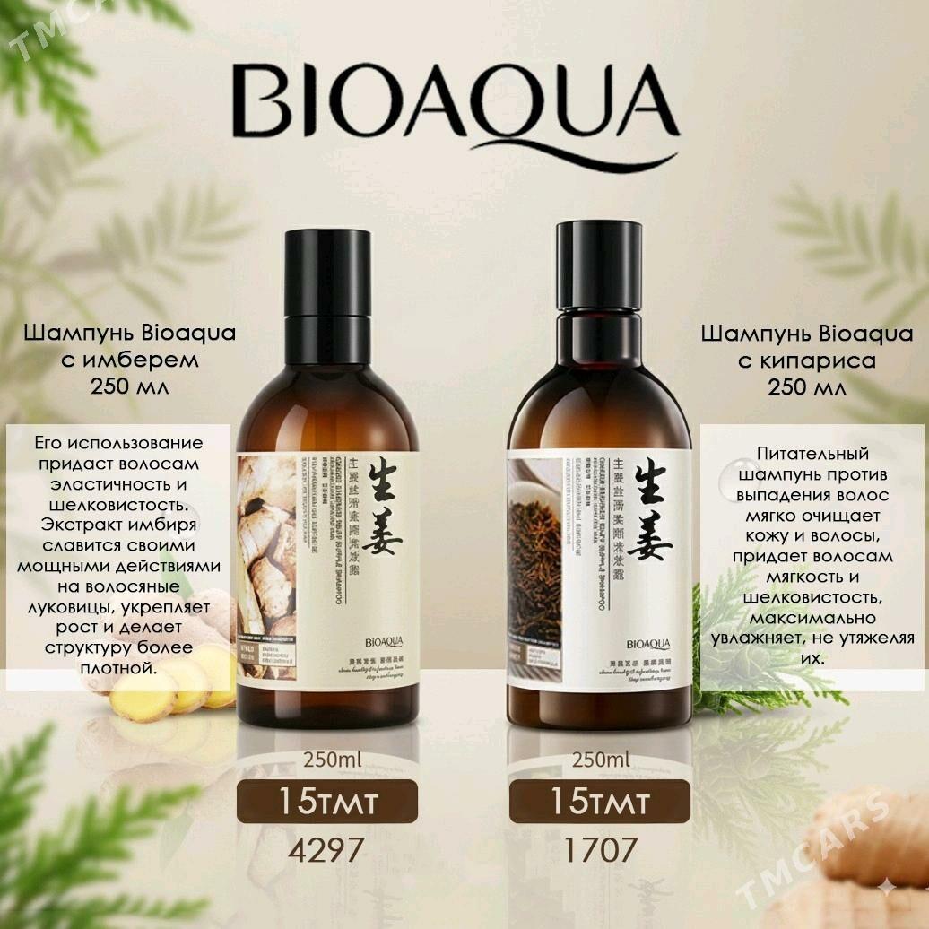 Gonaga garsy Sampyn - Aşgabat - img 5