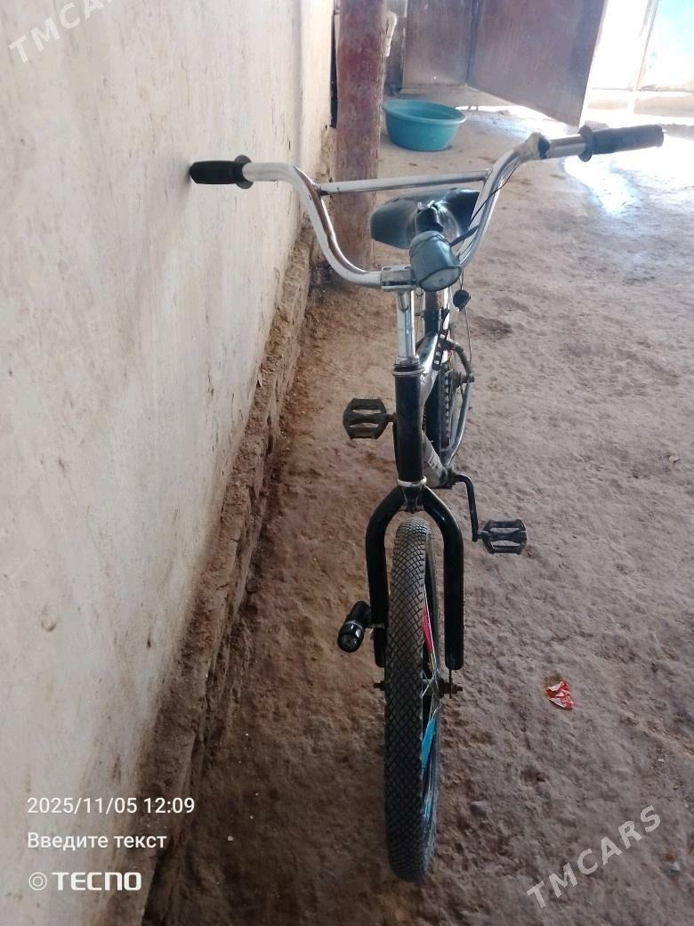 braberri welik - Болдумсаз - img 2