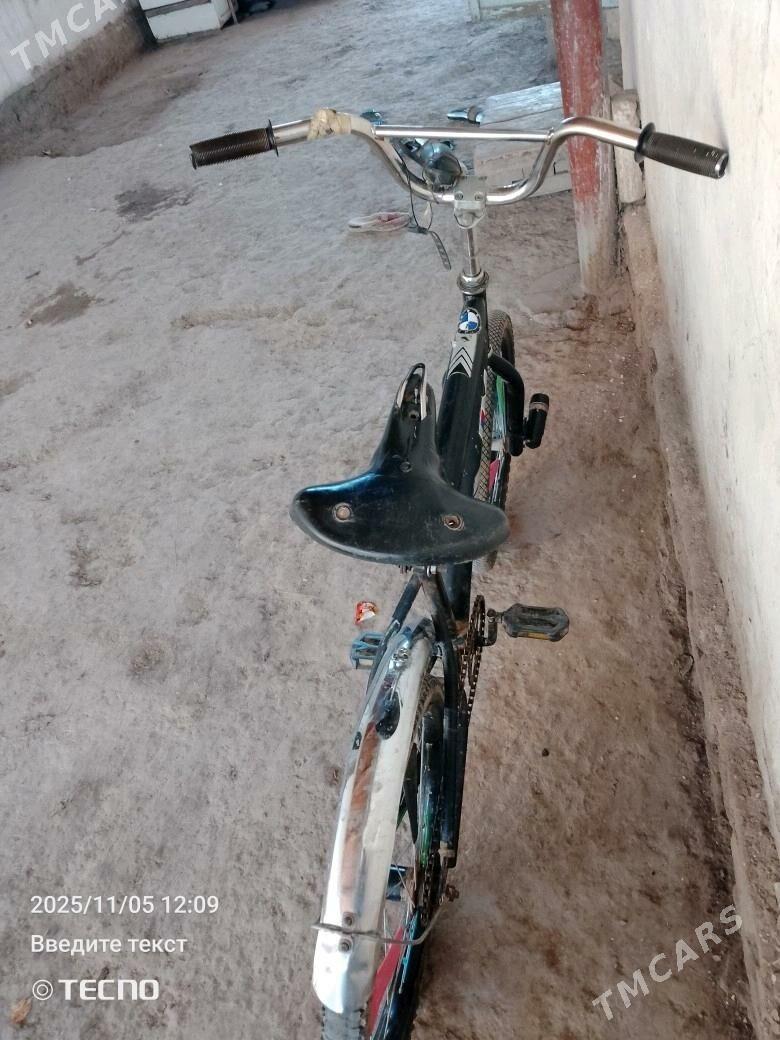 braberri welik - Болдумсаз - img 1