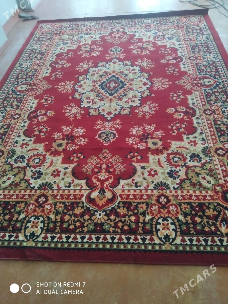 haly - Хитровка - img 3