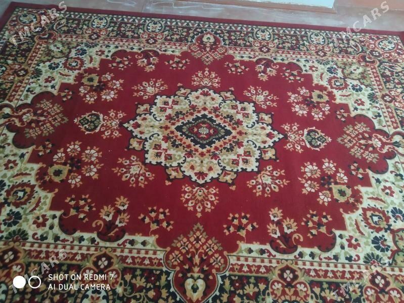 haly - Хитровка - img 1