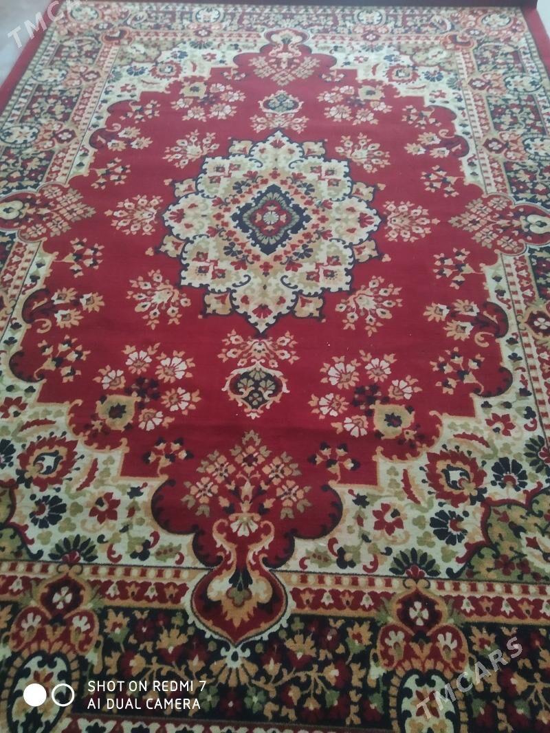 haly - Хитровка - img 5