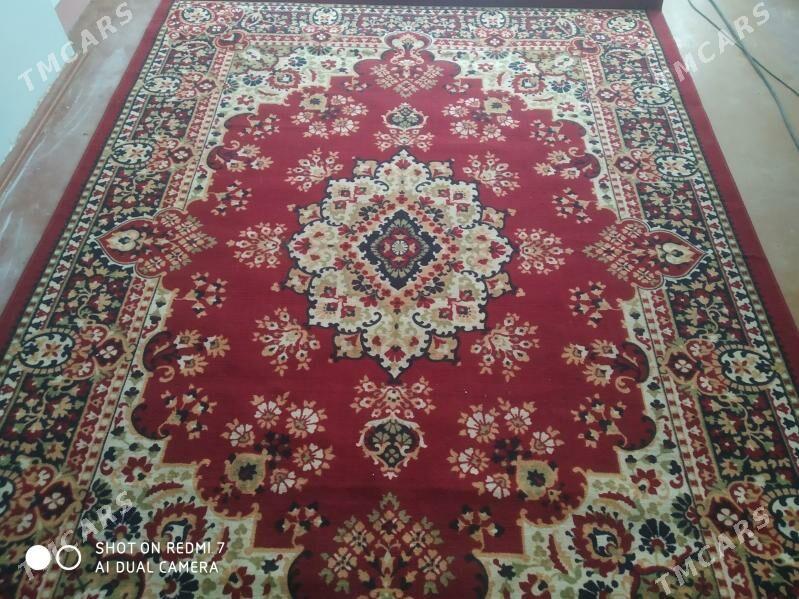 haly - Хитровка - img 4