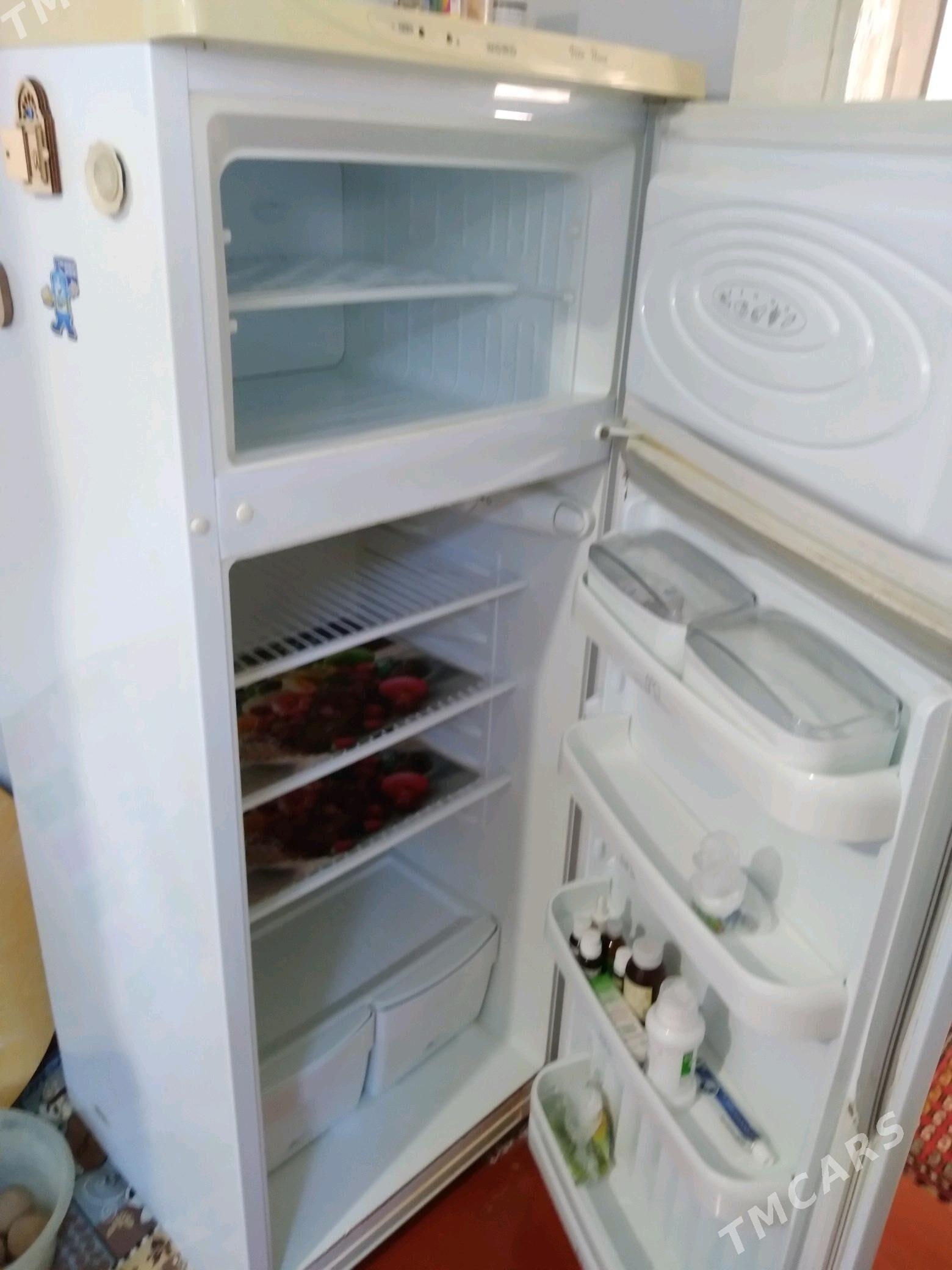 Haladilnik nord - Köşi - img 2