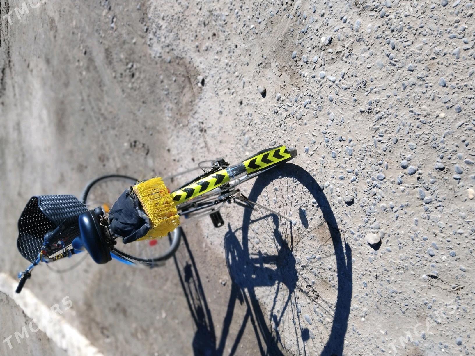 tigir - Мургап - img 2