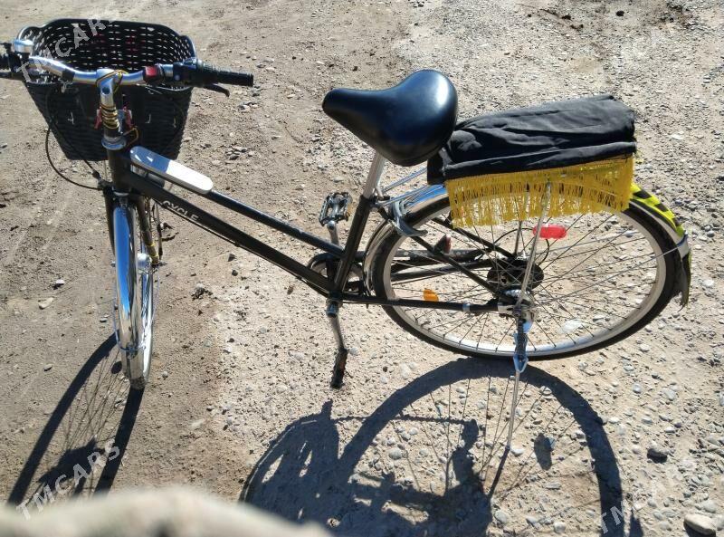 tigir - Мургап - img 3