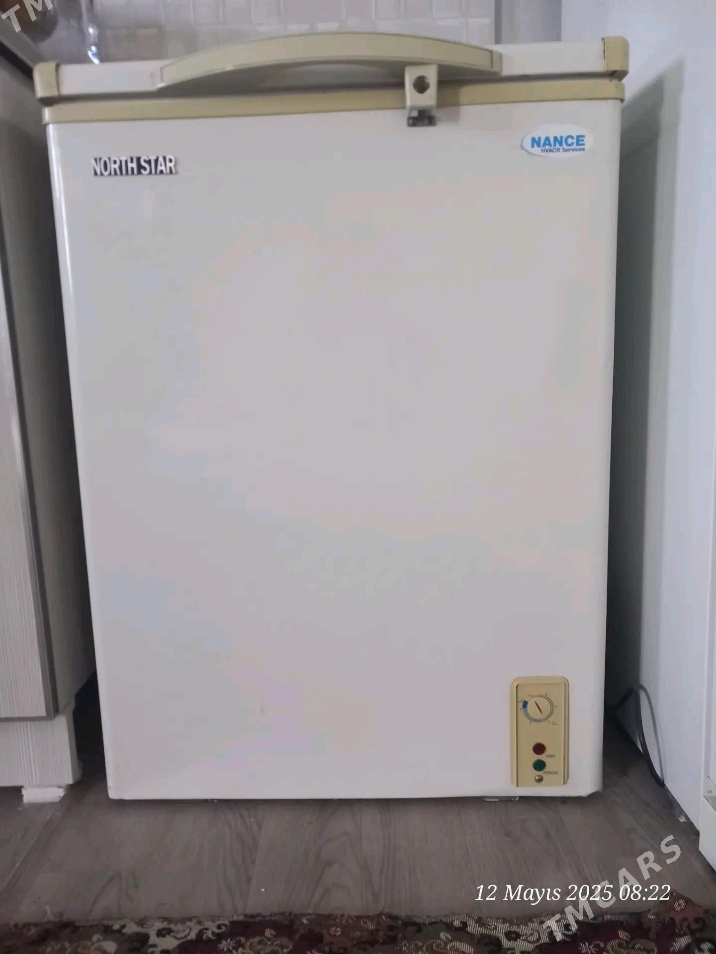 morozilnik - Гумдаг - img 2