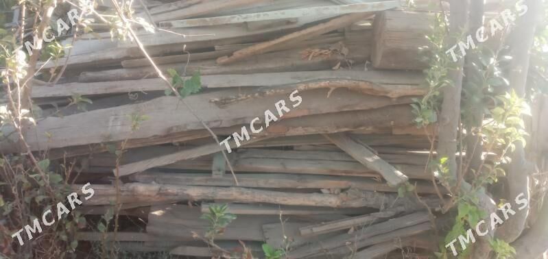 Ağaçlar - Aşgabat - img 5