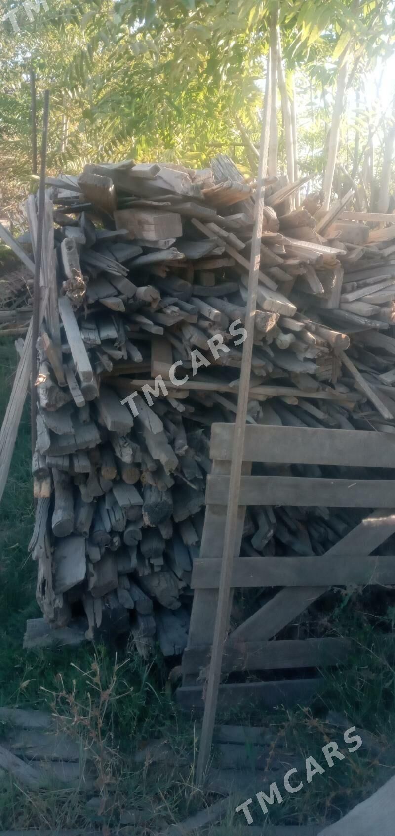 Ağaçlar - Aşgabat - img 4