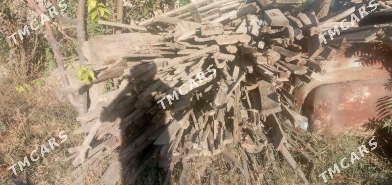 Ağaçlar - Aşgabat - img 6