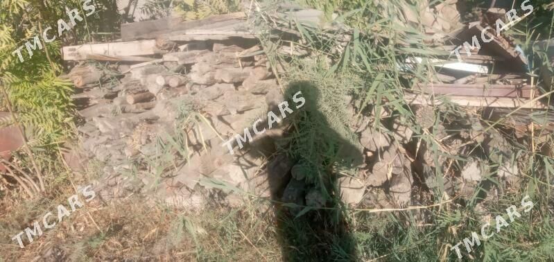 Ağaçlar - Aşgabat - img 7