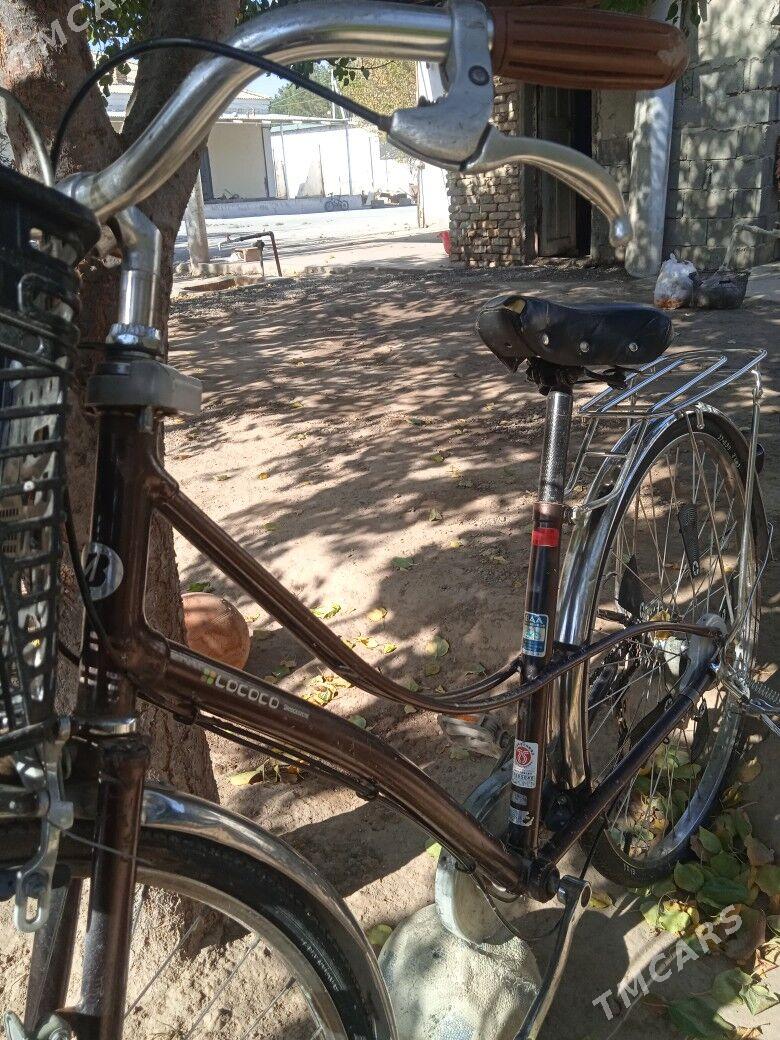 Tigir Lococo - Garadamak - img 2