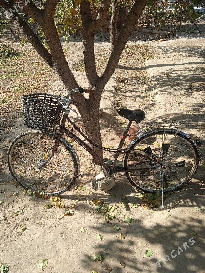 Tigir Lococo - Garadamak - img 1