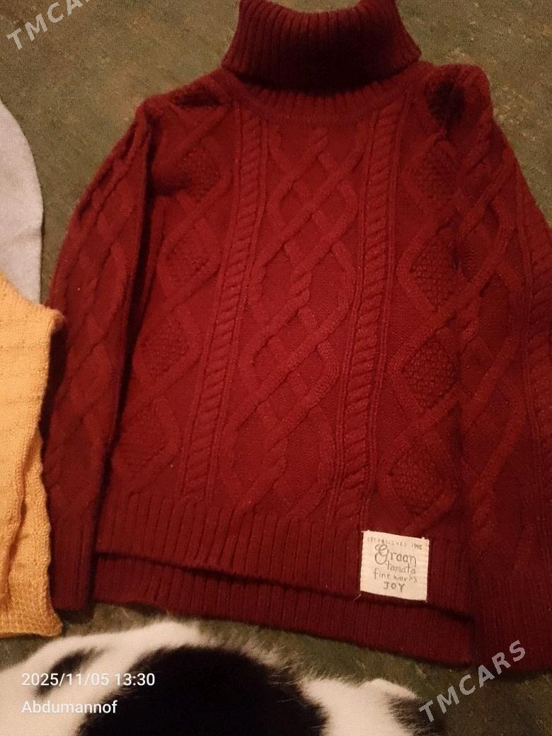 geyilmedik caqa eshik - Дашогуз - img 2