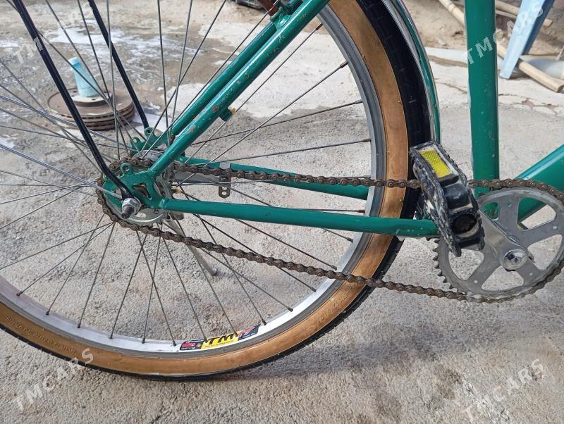 Turkmenisdan tigir - Bekrewe - img 2