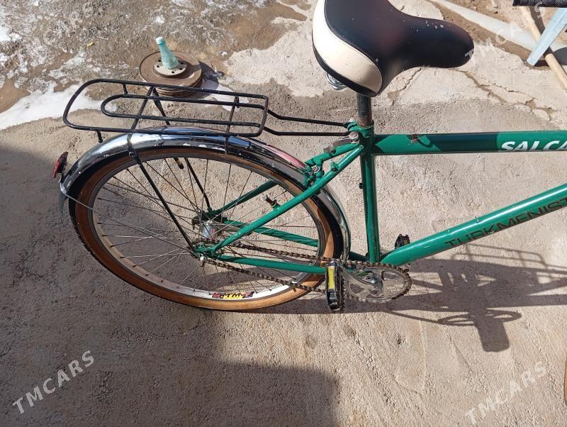 Turkmenisdan tigir - Bekrewe - img 4