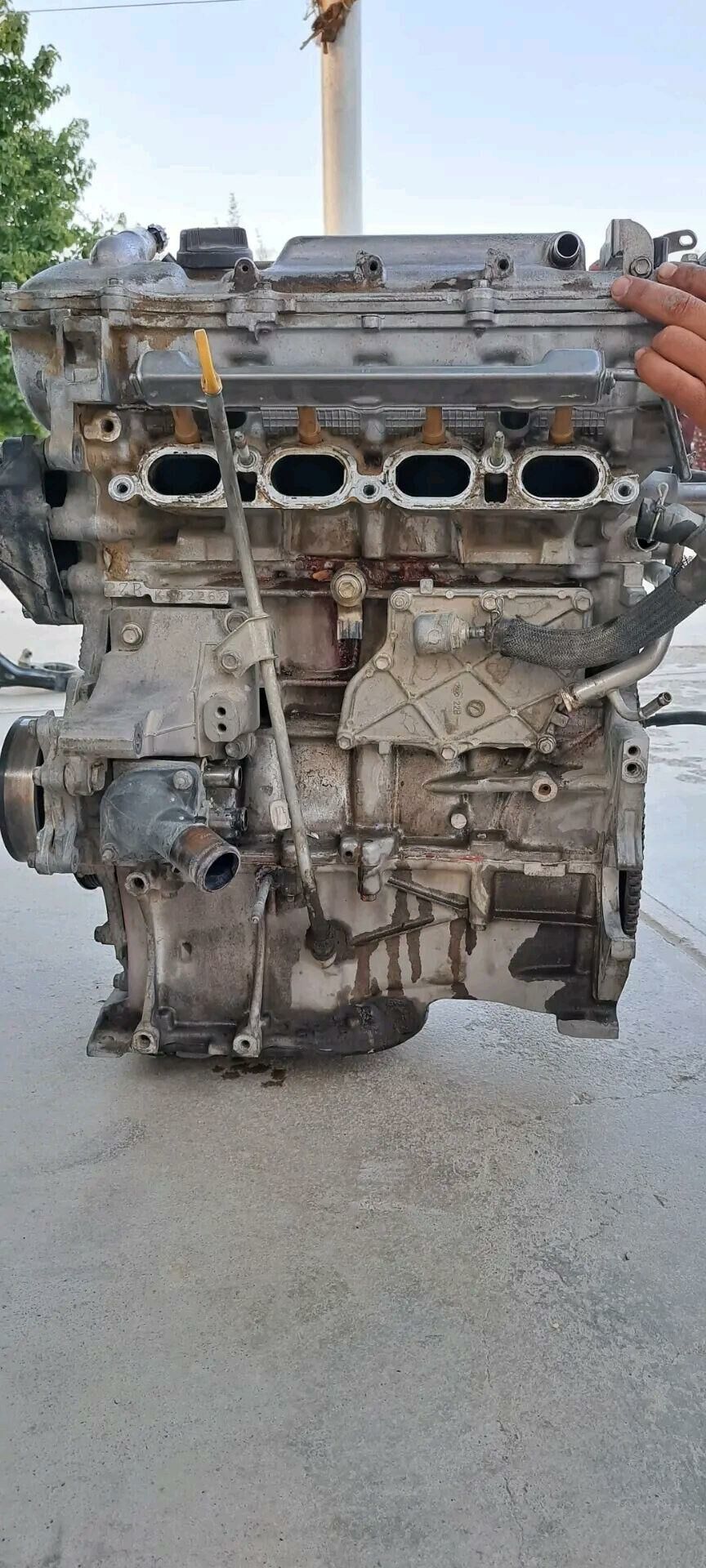 karollo mator 2013 4 000 TMT - Гёкдепе - img 3