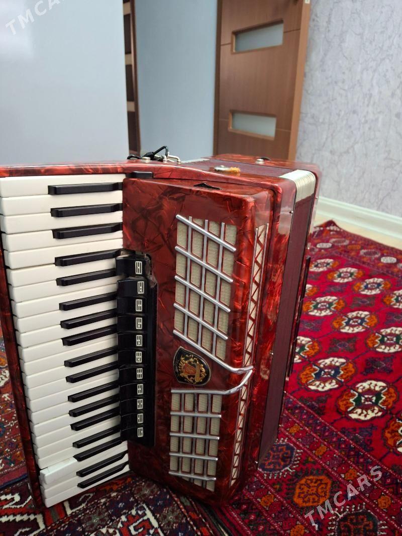 akkardeon - Aşgabat - img 1
