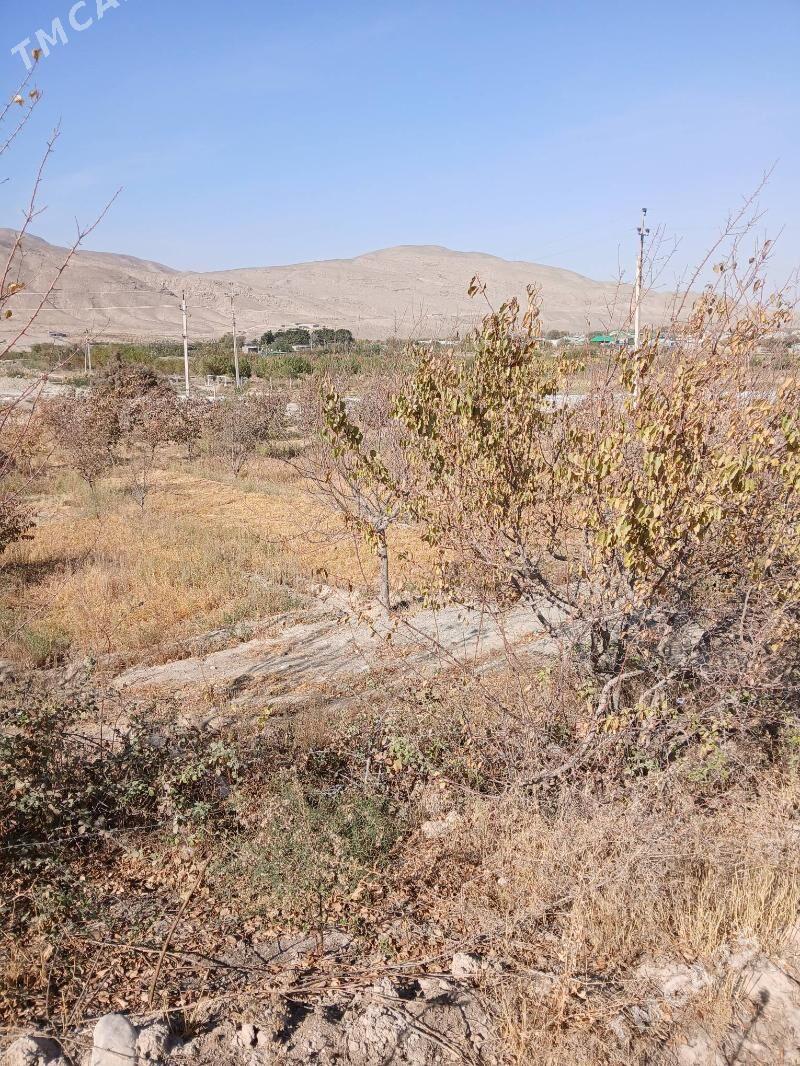 Ekin yer - Гёкдепе - img 1