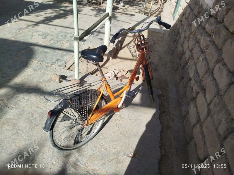 ýapon tigir - Анев - img 4