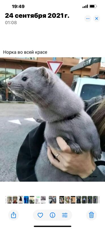 шуба норковая - Aşgabat - img 3