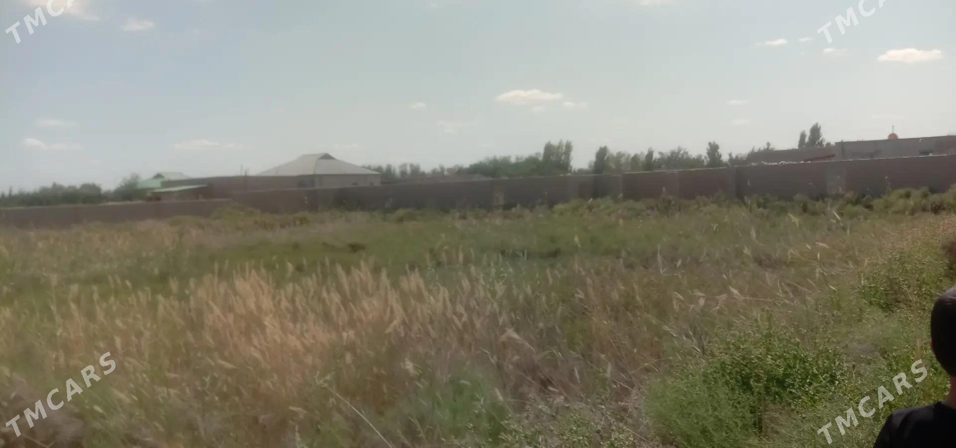 jay satylyar - Акдепе - img 4