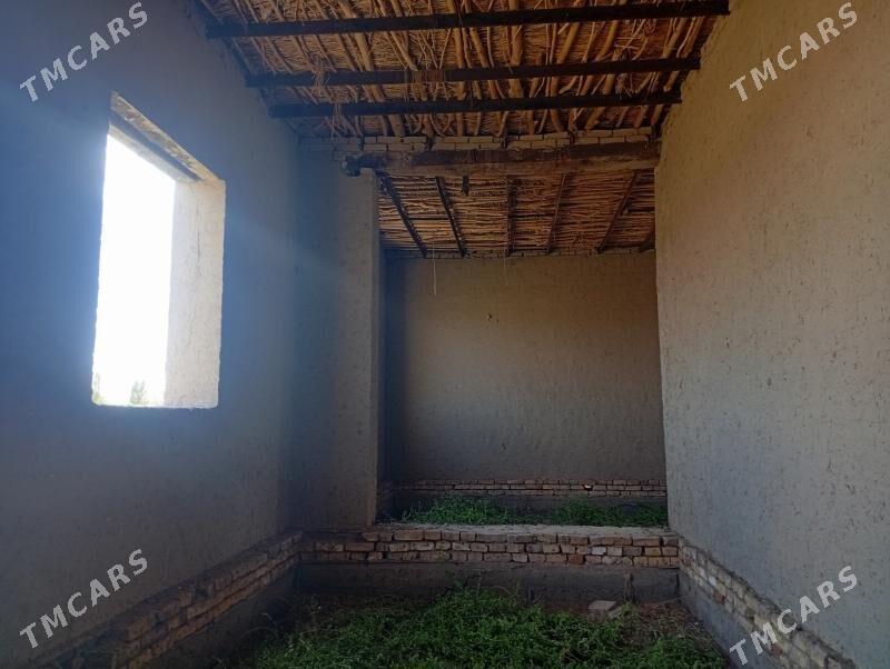 jay satylyar - Акдепе - img 8