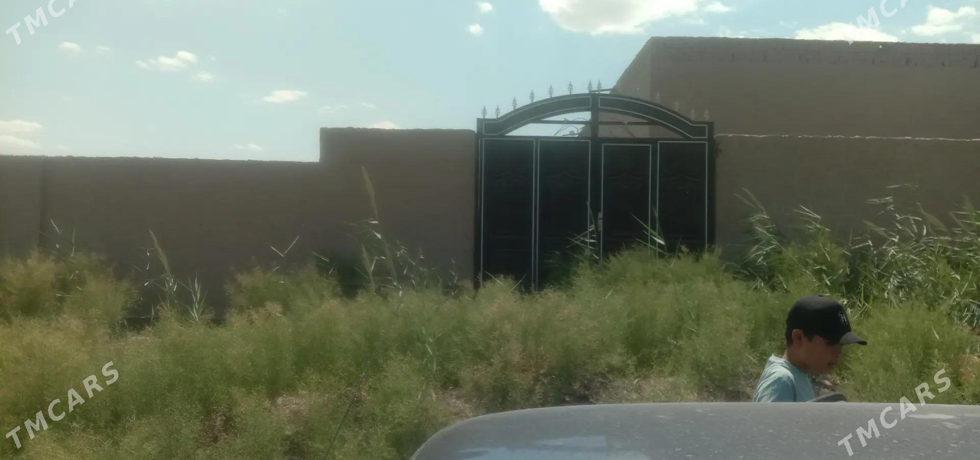 jay satylyar - Акдепе - img 2