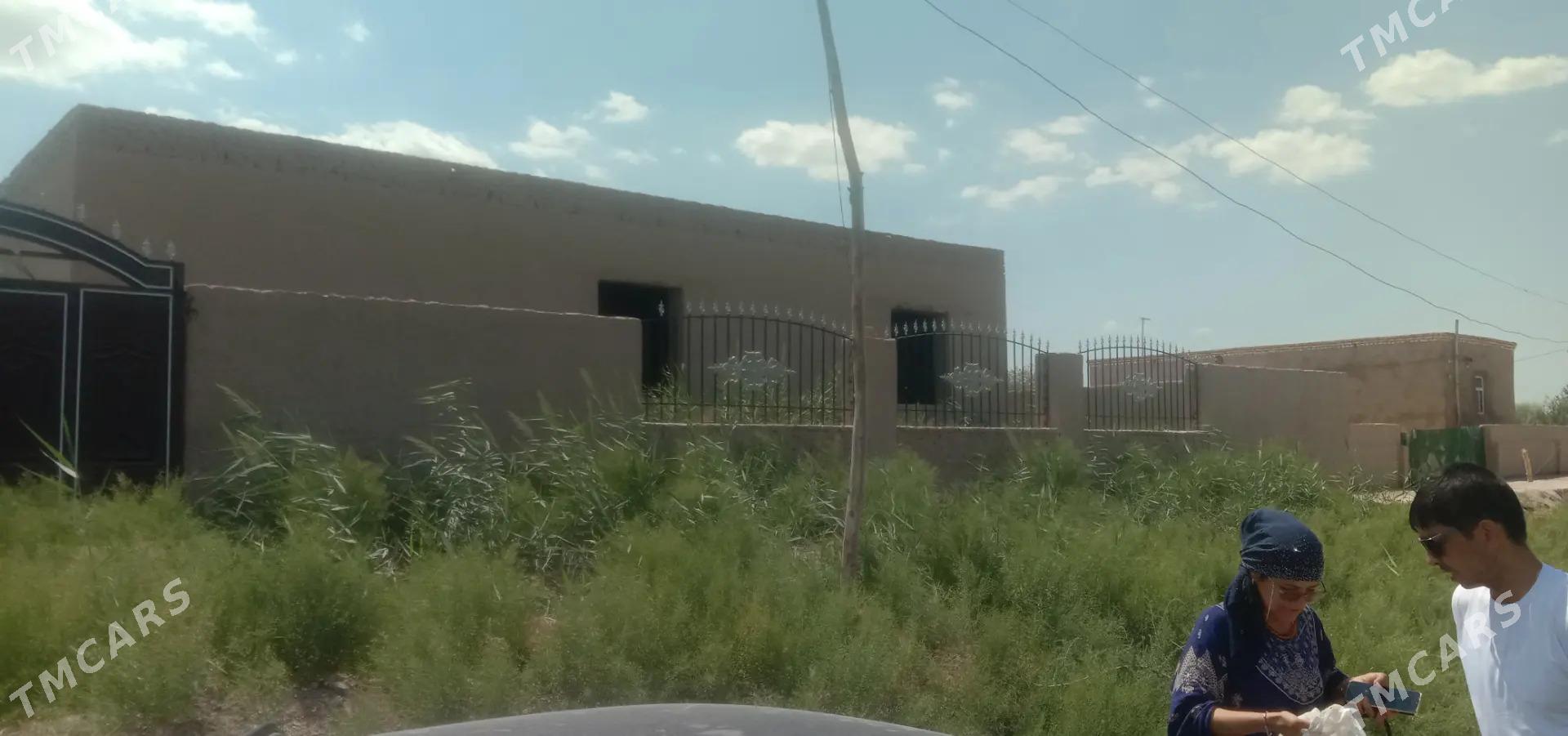 jay satylyar - Акдепе - img 5