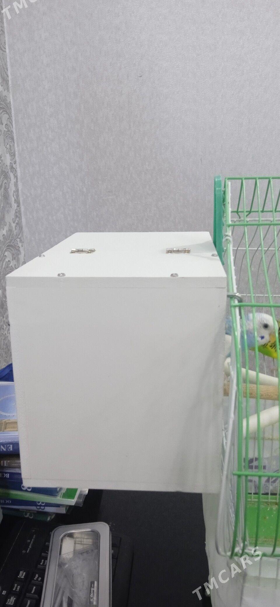 Продам пару попугаев - Гаудан "В" - img 2