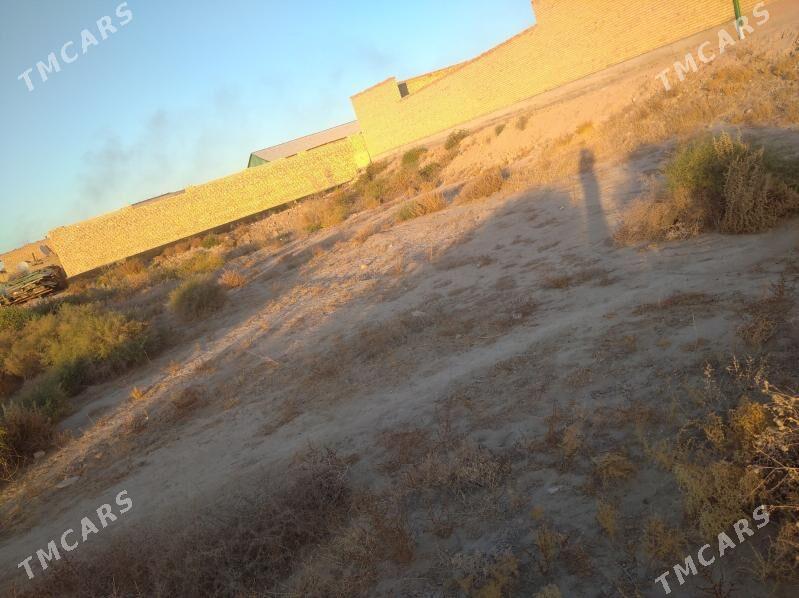 Satlyk - Türkmenabat - img 5