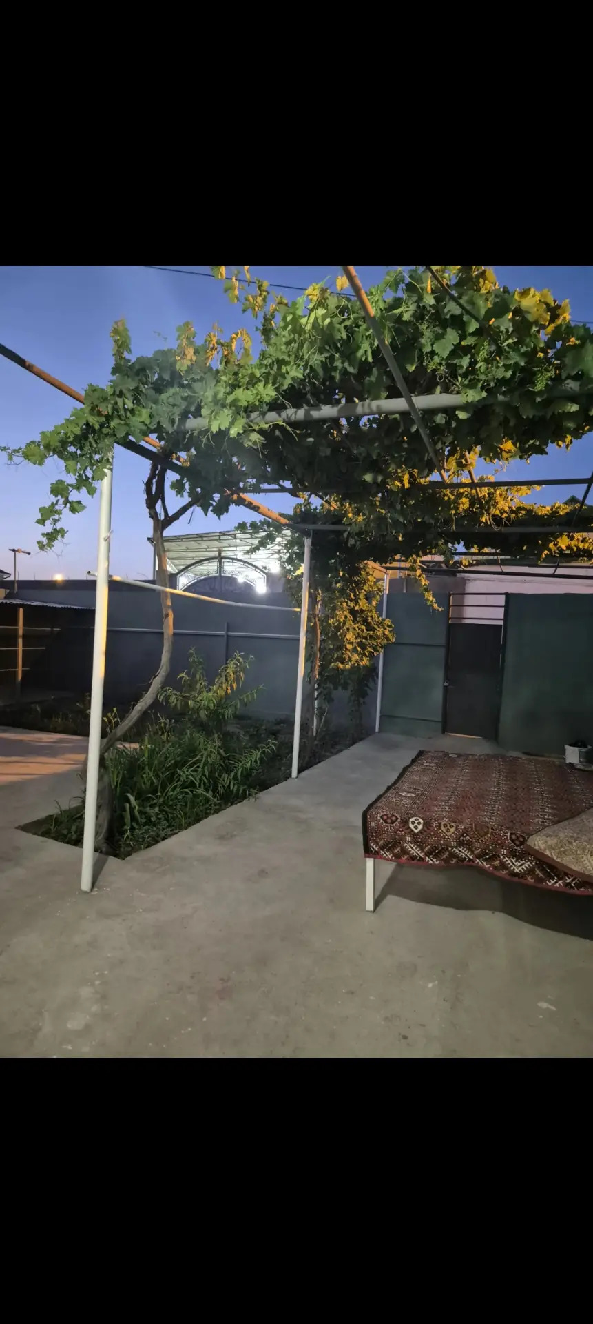 Buzmeyin Tomatny 3sotok 3komn - Бузмеин - img 2