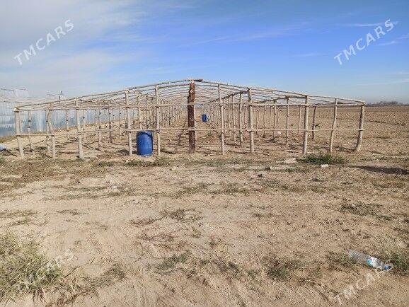 parnik teplis - Сакарчага - img 1