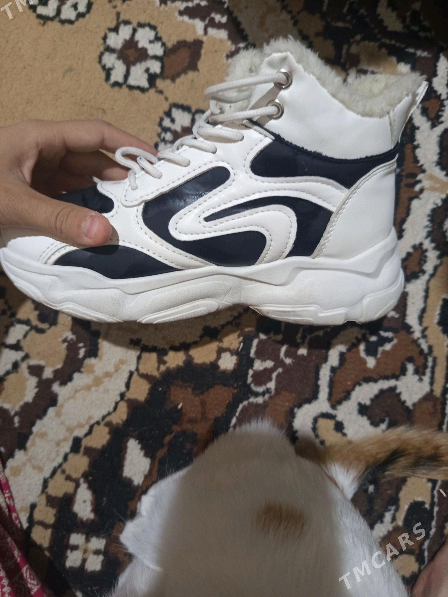 krasowka - Mary - img 2