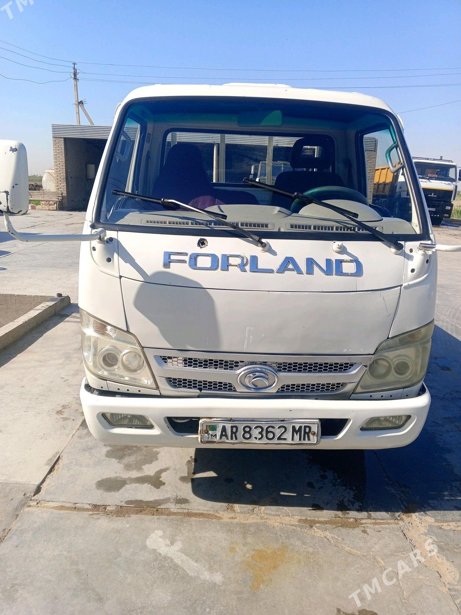 Forland H2 2011 - 80 000 TMT - Сакарчага - img 3