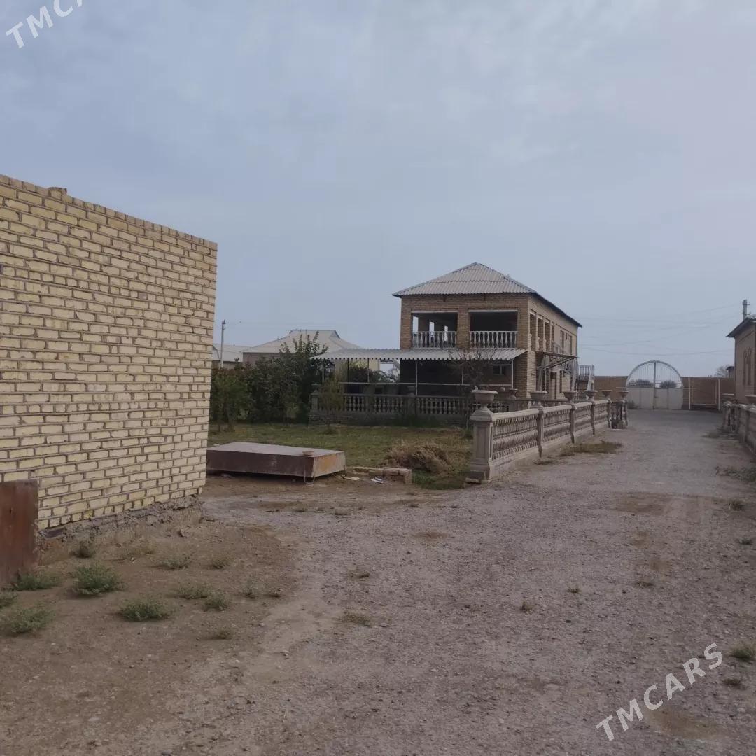 plan jay - Sakarçäge - img 3