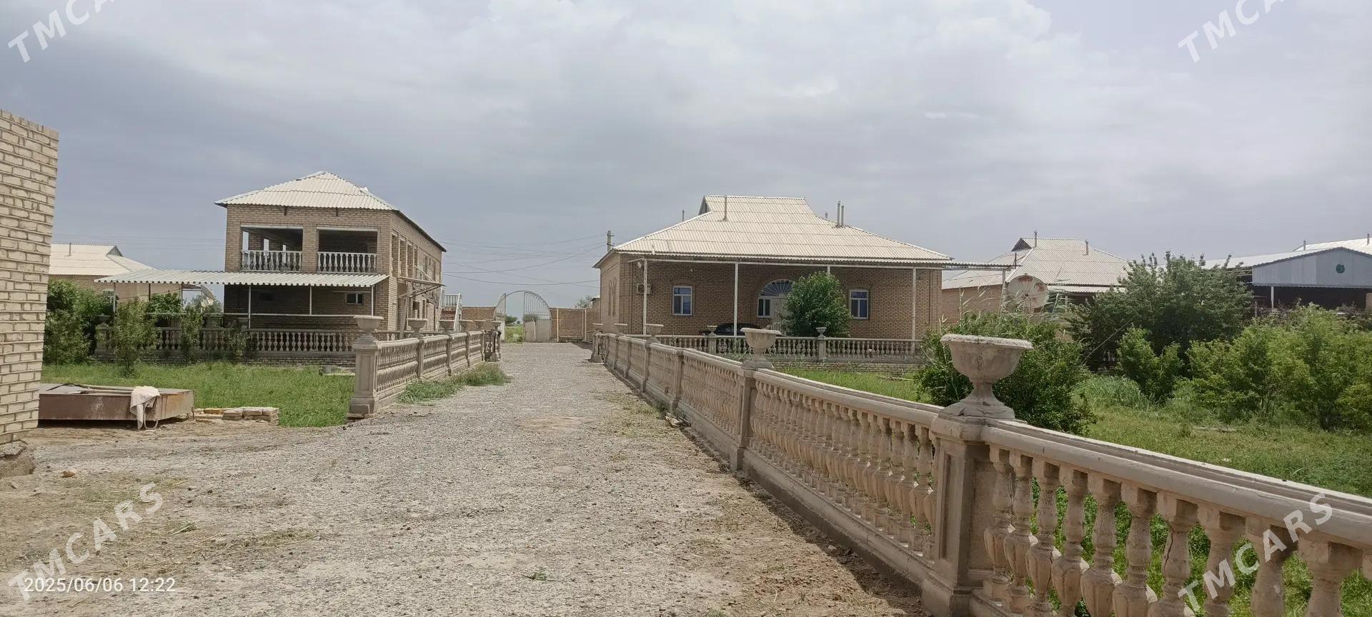 plan jay - Sakarçäge - img 1