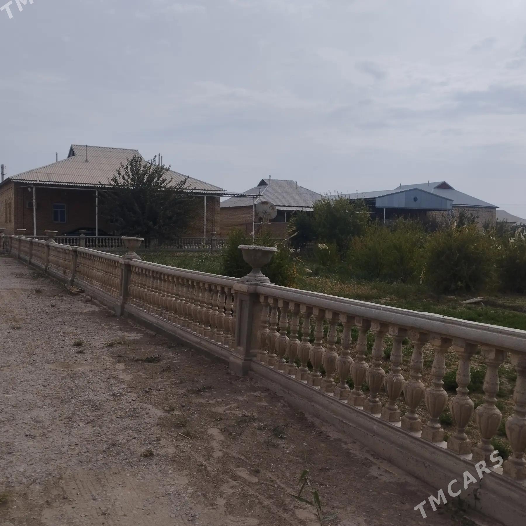 plan jay - Sakarçäge - img 4