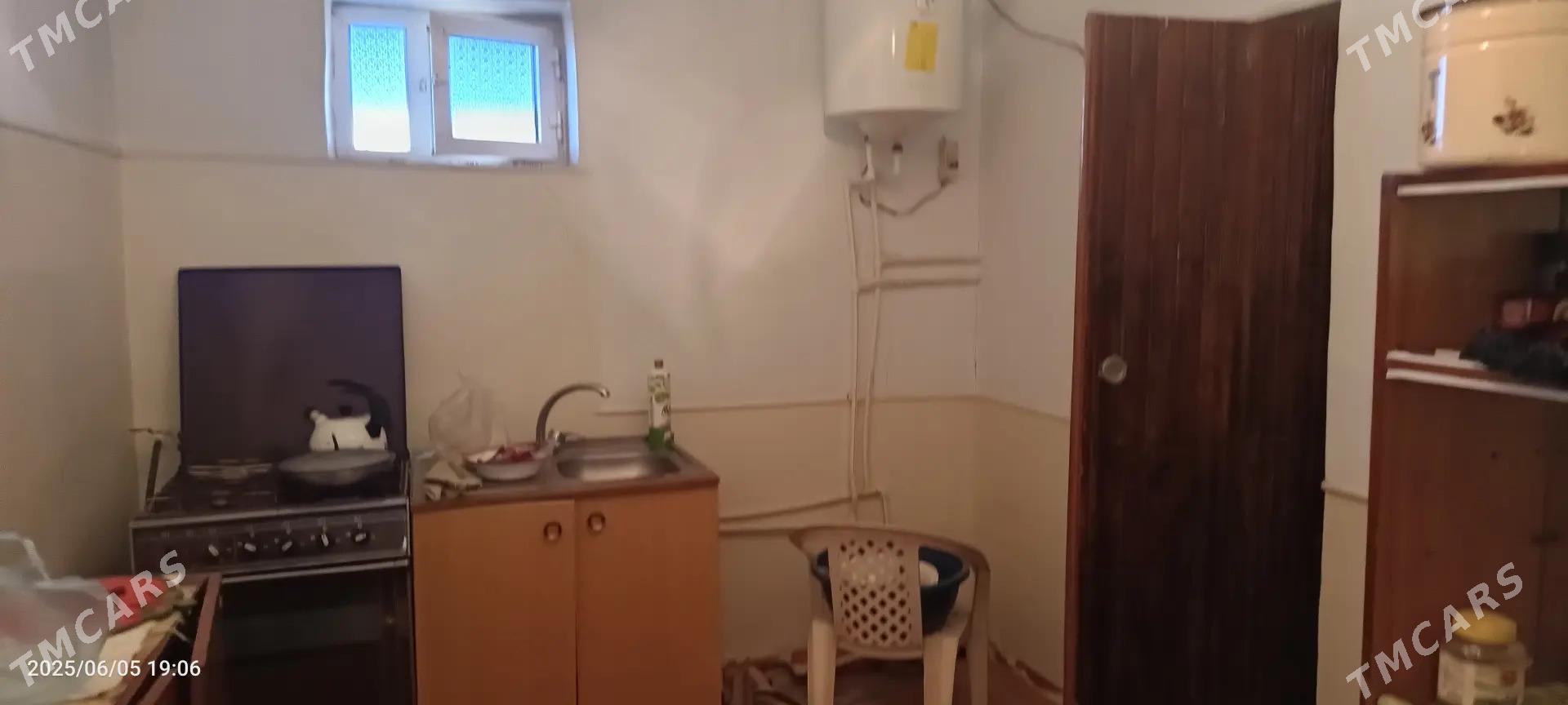 plan jay - Sakarçäge - img 2