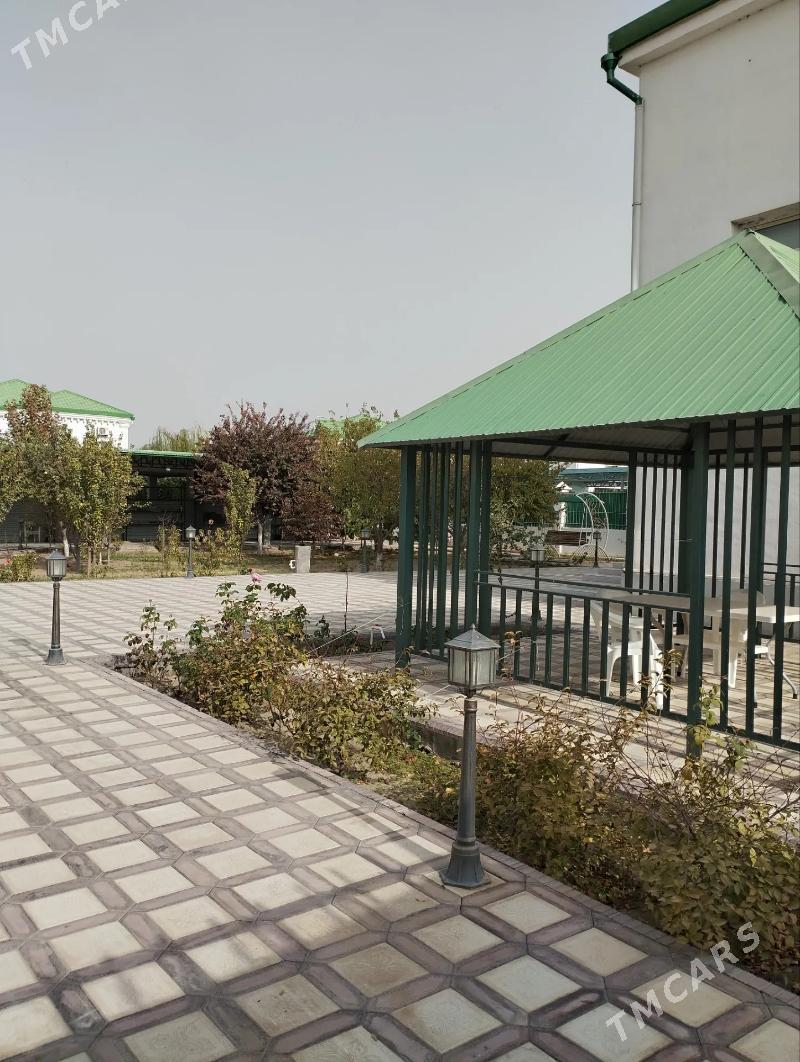 Taze-Zaman jay Тазе Заман - Тязе заман - img 2