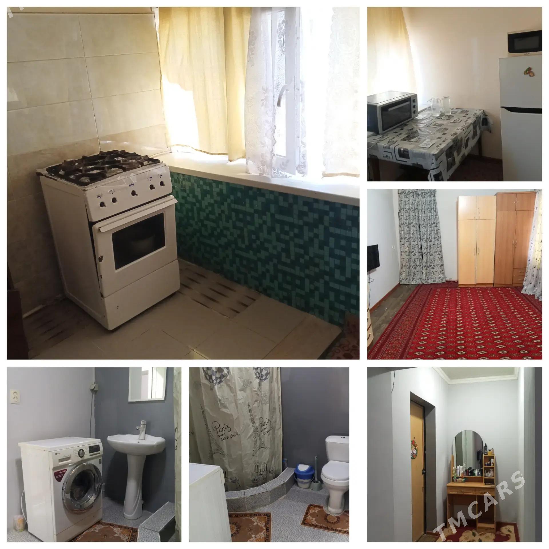 Satlyk jay - Mary - img 1