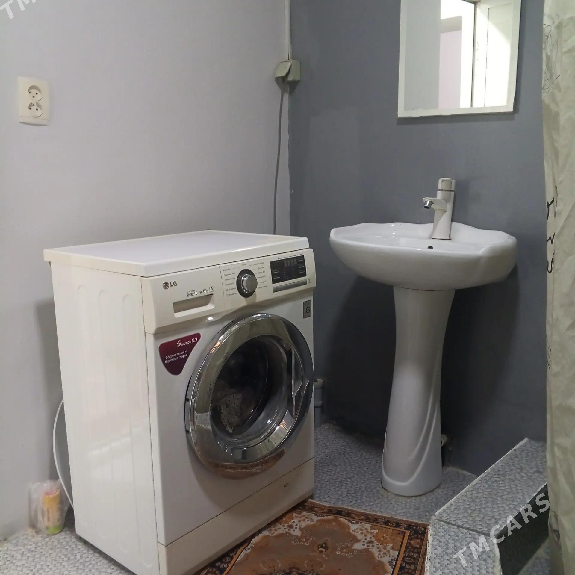 Satlyk jay - Mary - img 6