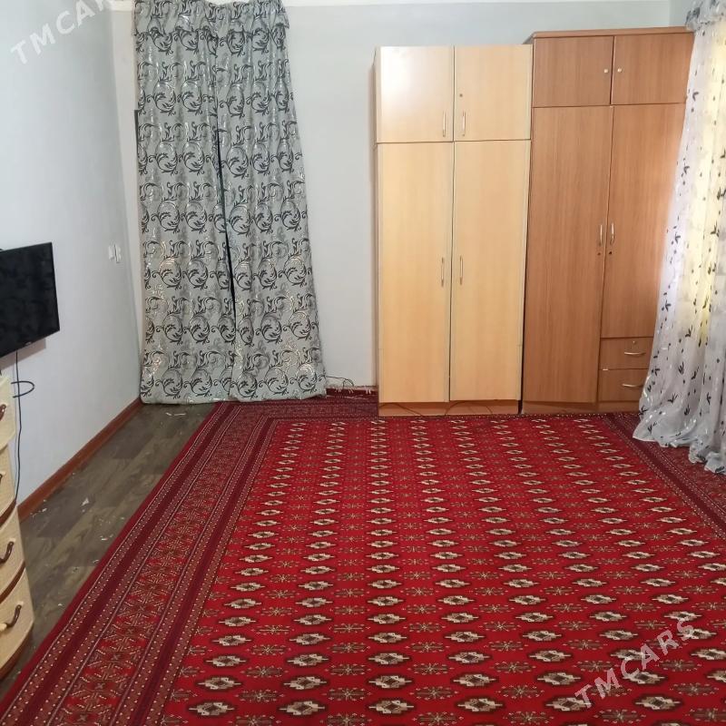 Satlyk jay - Mary - img 2