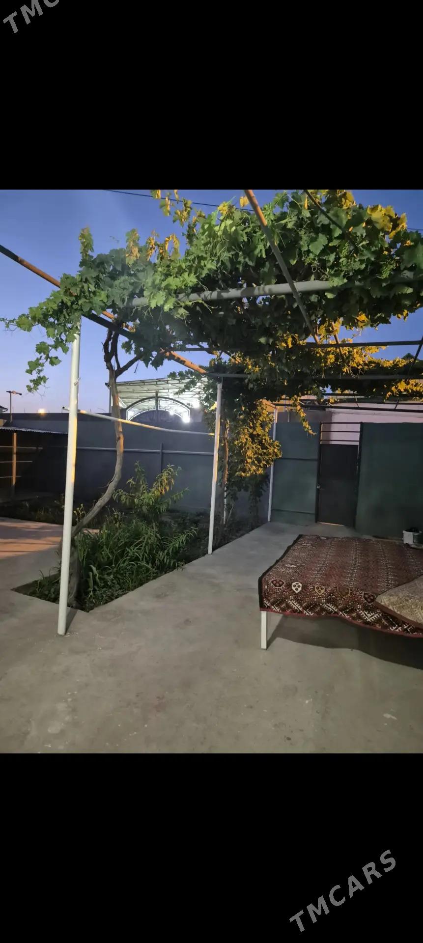 Tomatnyý Dom 3 sotki 3 komnaty - Бузмеин - img 3