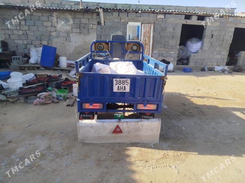 Fekon FK200-14G 2022 - 22 000 TMT - Чоганлы - img 4