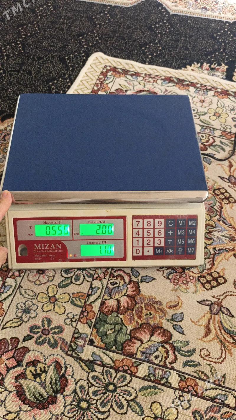 terezi - 6 mkr - img 3