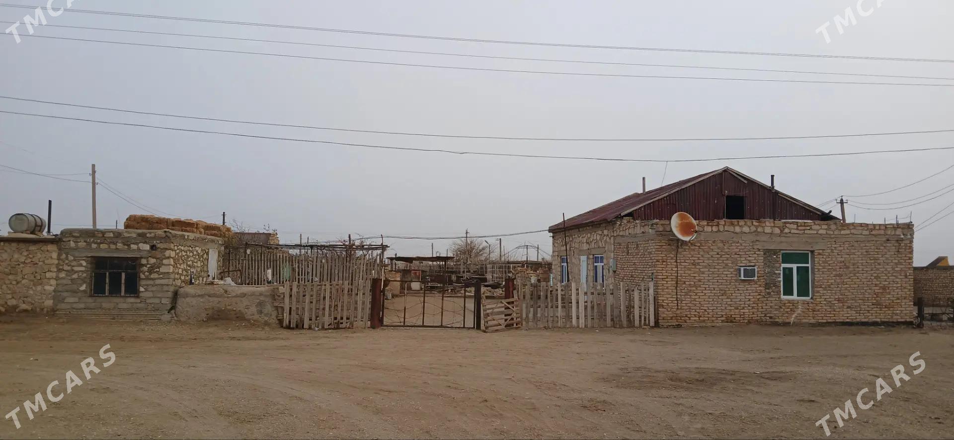 jay satlyk - Балканабат - img 5