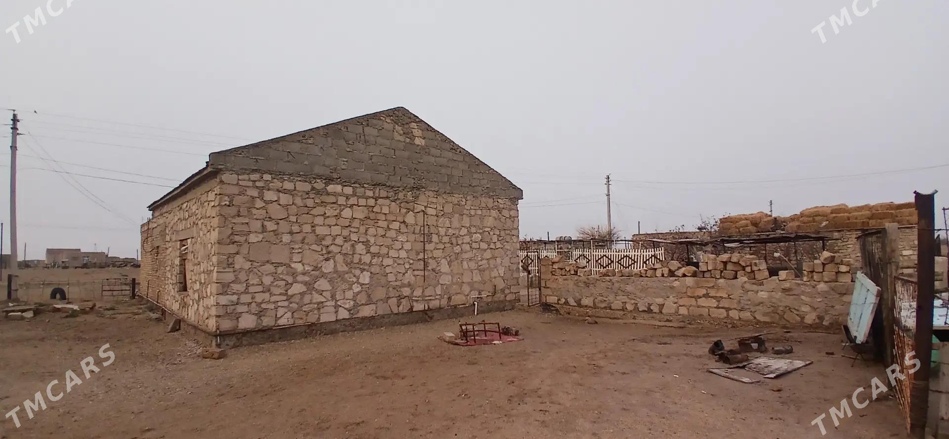 jay satlyk - Балканабат - img 1