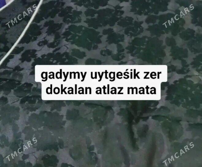 Gadym matalary alyaryn - Balkanabat - img 2